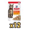 Hills Gravy Tavuklu Yetişkin Pouch Kedi Maması 85 Gr 12’li