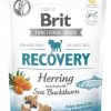 Brit Recovery Ringa Balıklı Köpek Ödülü 150 Gr