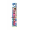EuroCat Desenli Zilli Kedi Boyun Tasması 28cm (Pembe)