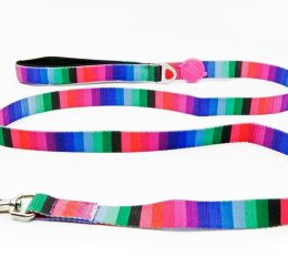 Tailpetz Wave Leash Köpek Gezdirme Tasması Medium