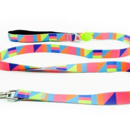 Tailpetz Spirit Leash Köpek Gezdirme Tasması Medium