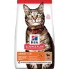 Hills Lamb Kuzu Etli Yetişkin Kedi Maması 3 Kg