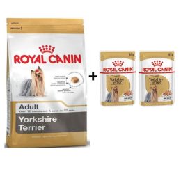 Royal Canin Yorkshire Terrier Köpek Maması 1,5 kg + 2 Adet Yaş Mama Hediye