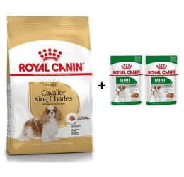 Royal Canin Cavalier King Charles  Yetişkin Köpek Maması 1,5 kg + 2 Adet Yaş Mama Hediye