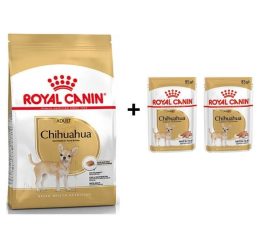 Royal Canin Chihuahua Yetişkin Köpek Maması 1,5 kg + 2 Adet Yaş Mama Hediye