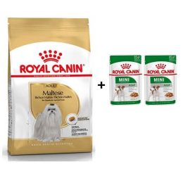Royal Canin Maltese Bichon Yetişkin Köpek Maması 1,5 kg + 2 Adet Yaş Mama Hediye