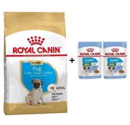 Royal Canin Pug Junior Yavru Köpek Maması 1,5 kg + 2 Adet Yaş Mama Hediye