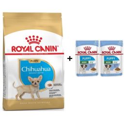 Royal Canin Chihuahua Junior Yavru Köpek Maması 1,5 kg + 2 Adet Yaş Mama Hediye