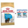 Royal Canin Yorkshire Terrier Yavru köpek Maması 1,5 kg + 2 Adet Yaş Mama Hediye