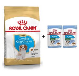 Royal Canin Cavalier King Charles Yavru köpek Maması 1,5 kg + 2 Adet Yaş Mama Hediye