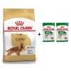Royal Canin Cocker Yetişkin Köpek Maması 3 kg + 2 Adet Yaş Mama Hediye