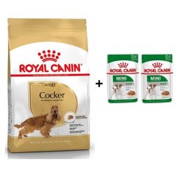 Royal Canin Cocker Yetişkin Köpek Maması 3 kg + 2 Adet Yaş Mama Hediye
