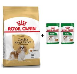 Royal Canin Cavalier King Charles  Yetişkin Köpek Maması 3 kg + 2 Adet Yaş Mama Hediye