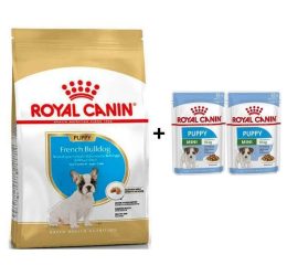 Royal Canin French Bulldog Yavru Köpek Maması 3 kg + 2 Adet Yaş Mama Hediye