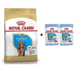 Royal Canin Cocker Junior Yavru Köpek Maması 3 kg + 2 Adet Yaş Mama Hediye