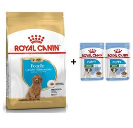 Royal Canin Poodle Puppy Köpek Maması 3 Kg + 2 Adet Yaş Mama Hediye