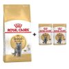 Royal Canin British Shorthair Yetişkin Kedi Maması 4 Kg + 2 Adet Yaş Mama Hediye