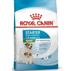 Royal Canin Mini Starter Küçük Irk Anne ve Yavru Köpek Maması 4 Kg