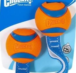 Chuckit Ultra Duo Tug 2li Köpek Çekiştirme Topu