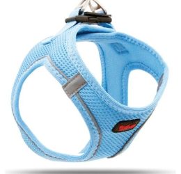 Tailpetz Air Mesh Harness Göğüs Tasması Mavi Large