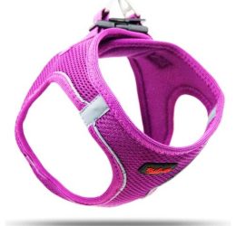 Tailpetz Air Mesh Harness Göğüs Tasması Mor XLarge