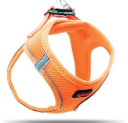 Tailpetz Air Mesh Harness Göğüs Tasması Turuncu XLarge