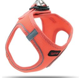 Tailpetz Air Mesh Harness Göğüs Tasması Salmon XLarge