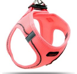 Tailpetz Air Mesh Harness GöğüsTasması Neon Pembe XLarge