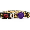 Tailpetz Leopard Boyun Tasması (Large)