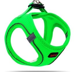 Tailpetz Air Mesh Harness Göğüs Tasması Neon Yeşil Medium