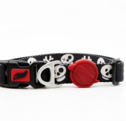 Tailpetz Boo Boyun Tasması XS