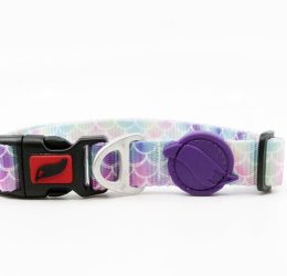 Tailpetz Bubbles Boyun Tasması XS