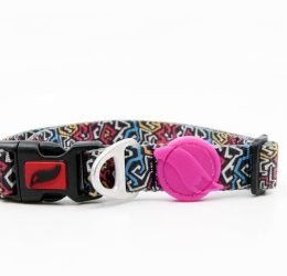Tailpetz Graffiti Boyun Tasması XS