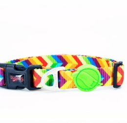 Tailpetz Rainbow Boyun Tasması M
