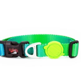 Tailpetz Amazon Boyun Tasması L