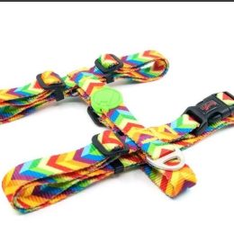 Tailpetz Rainbow Göğüs Tasmasi S
