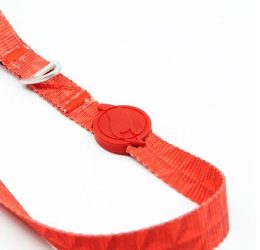 Tailpetz Prism Leash Gezdirme Kayışı