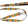 Tailpetz Rainbow Leash Gezdirme Kayışı