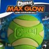 Chuckit! Max Glow Ultra Squeaker Gece Parlayan Sesli Köpek Oyun Topu