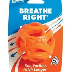 Chuckit! Air Fetch Köpek Oyun Topu (Büyük Boy)