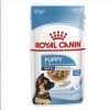 Royal Canin Maxi Puppy Köpek Yaş Maması 140g