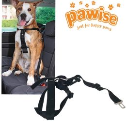 Pawise Emniyet Kemer Tokalı Tasma S 30-60 Cm