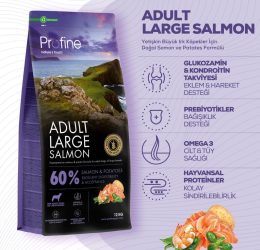 Profine Large Salmon Glutensiz Somonlu Büyük Irk Yetişkin Köpek Maması 12 kg