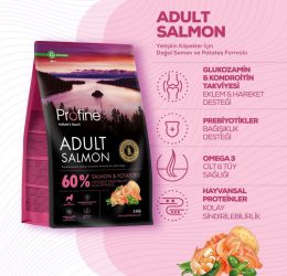 Profine Salmon Glutensiz Somonlu Yetişkin Köpek Maması 3 Kg