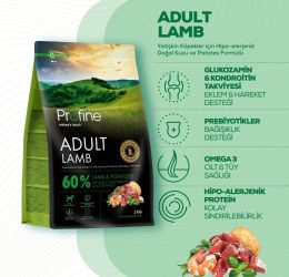 Profine Lamb Glutensiz Kuzulu Yetişkin Köpek Maması 3 kg