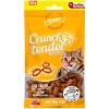 Gnawlers Kedi Ödülü Crunchy & Tender Tavuklu 65 Gr