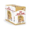 Royal Canin Poodle Yetişkin Pouch Yaş Köpek Maması 85 gr 12’li Paket