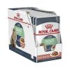 Royal Canin Digest Sensitive Konserve Kedi Maması 85 Gr 12’li Paket