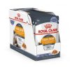 Royal Canin İntense Beauty Jelly Kedi Konservesi 85 Gr 12’li Paket