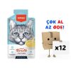 Wanpy Tavuk Etli Kedi Çorbası 50 Gr 12’li Paket